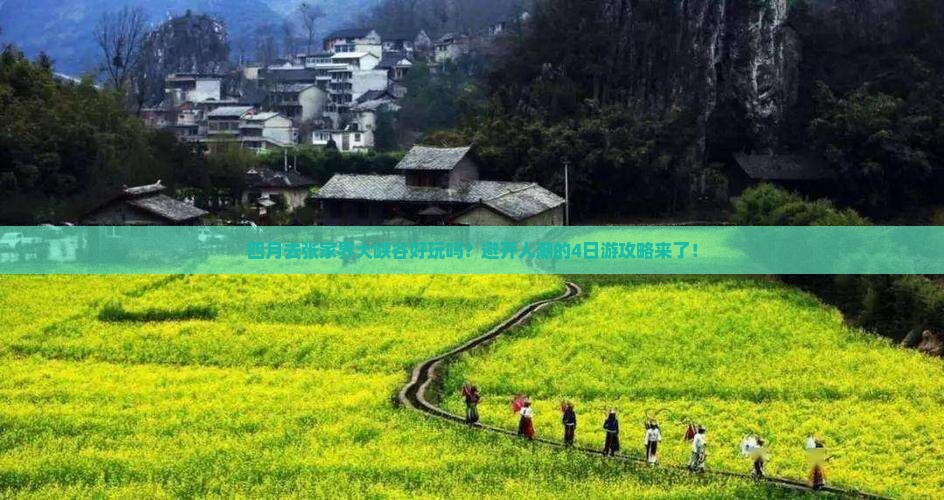 四月到张家界大峡谷四日游