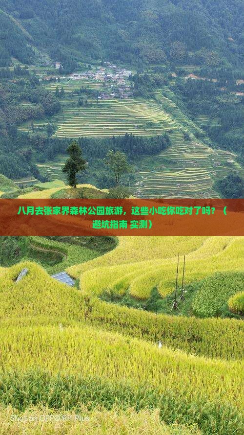 八月去张家界森林公园旅游小吃