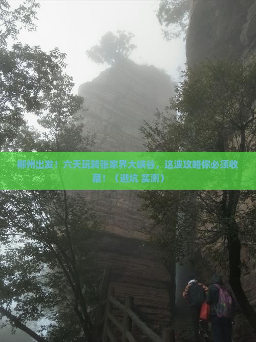 郴州去张家界大峡谷六日游