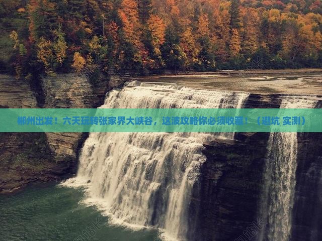 郴州去张家界大峡谷六日游
