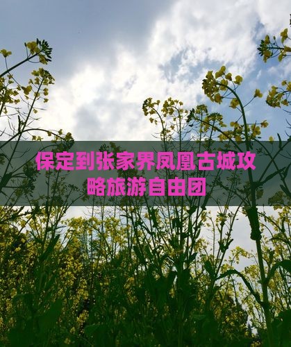 保定到张家界凤凰古城自由团