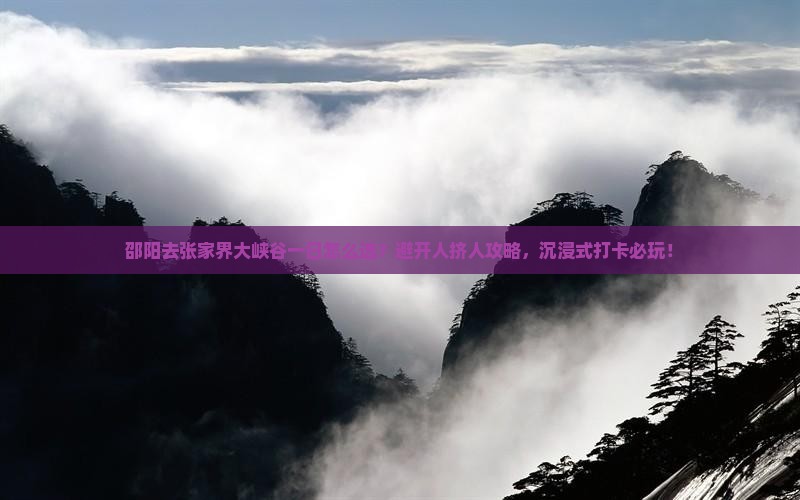 邵阳去张家界大峡谷一日 邵阳去张家界大峡谷一日