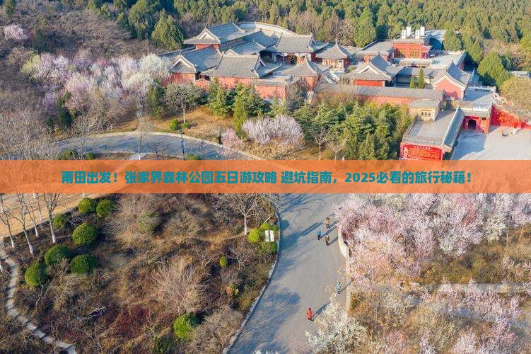 莆田去张家界森林公园五日游