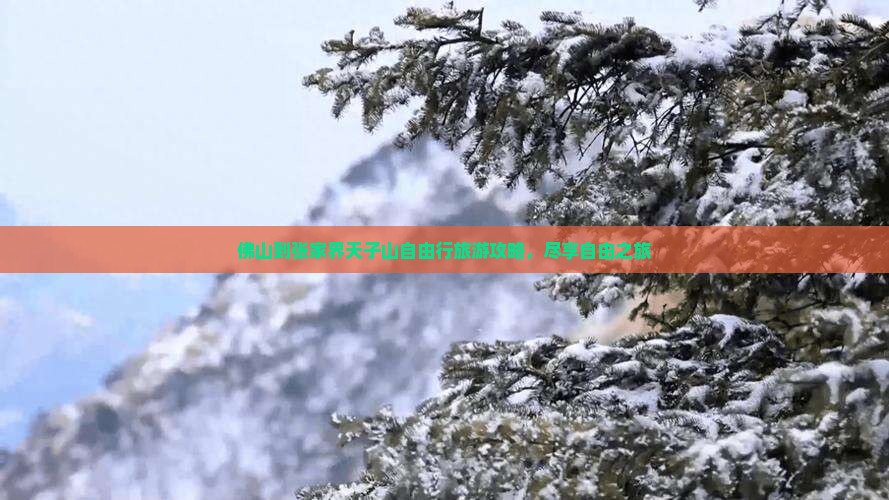 佛山到张家界天子山自由行