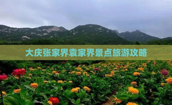大庆去张家界袁家界景点