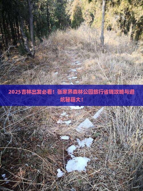 吉林到张家界森林公园旅行社