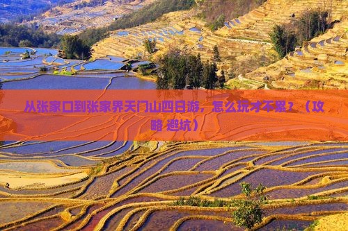 张家口到张家界天门山四日游