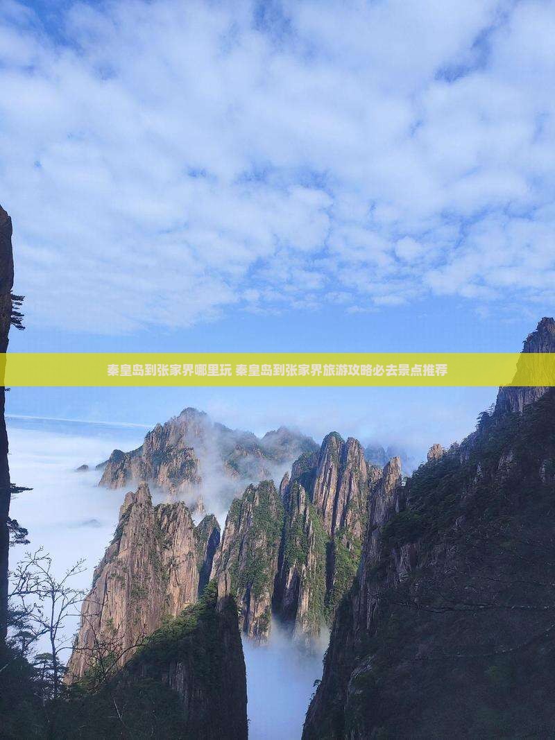 秦皇岛到张家界哪里玩