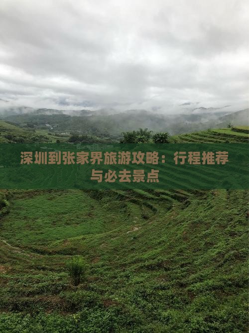深圳到张家界哪里玩