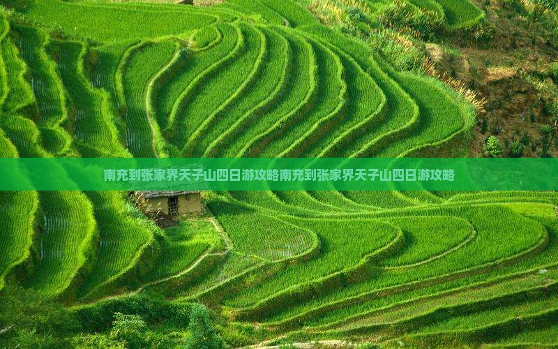 南充到张家界天子山四日游