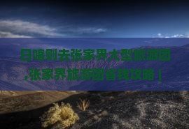 日喀则去张家界大型旅游团