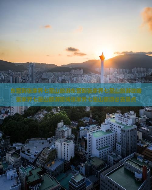 东营到张家界七星山旅游
