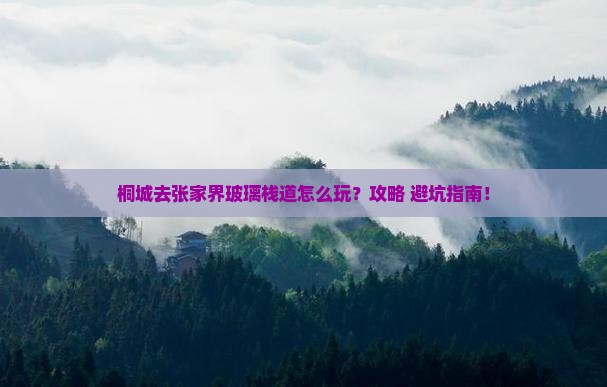 桐城去张家界玻璃栈道旅行社