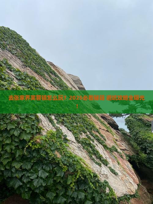 中秋节去张家界芙蓉镇哪里玩