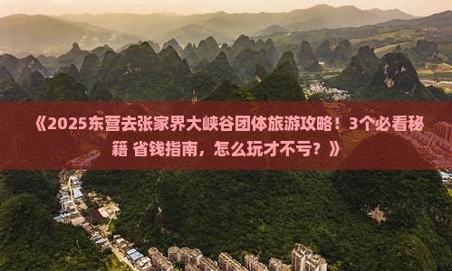 东营去张家界大峡谷团体旅游