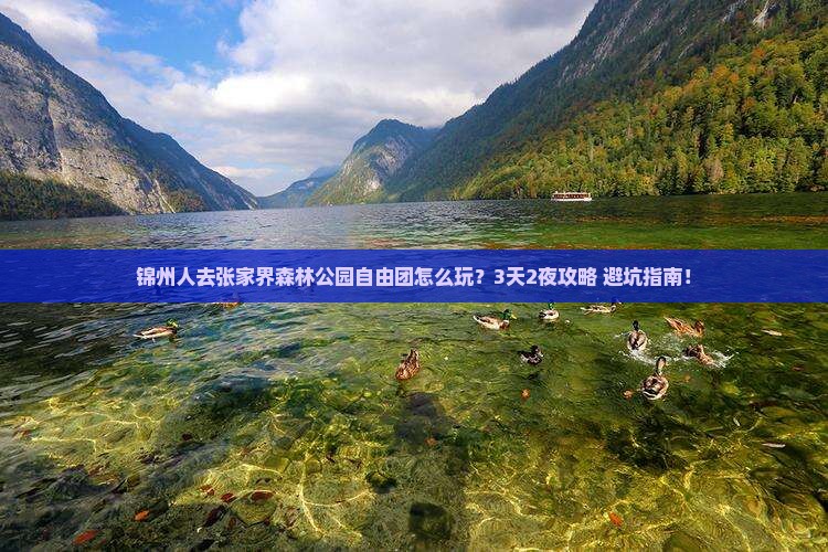 锦州去张家界森林公园自由团