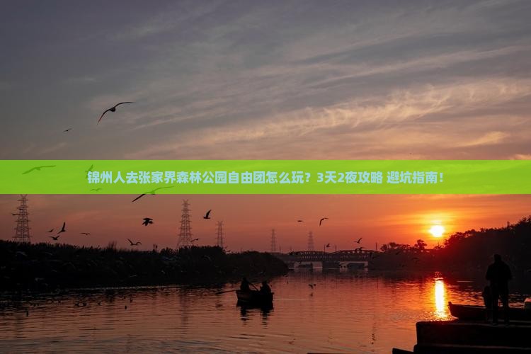 锦州去张家界森林公园自由团
