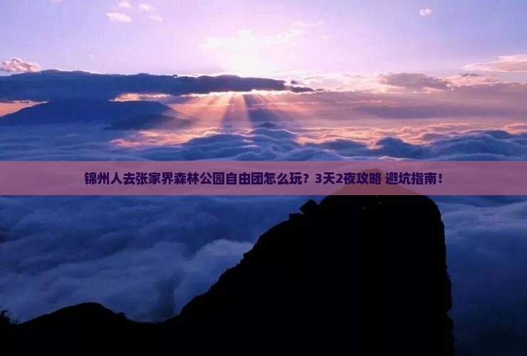 锦州去张家界森林公园自由团