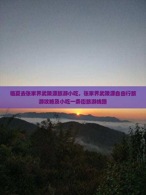 临夏去张家界武陵源旅游小吃