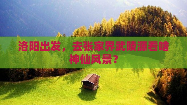 洛阳到张家界武陵源旅行社