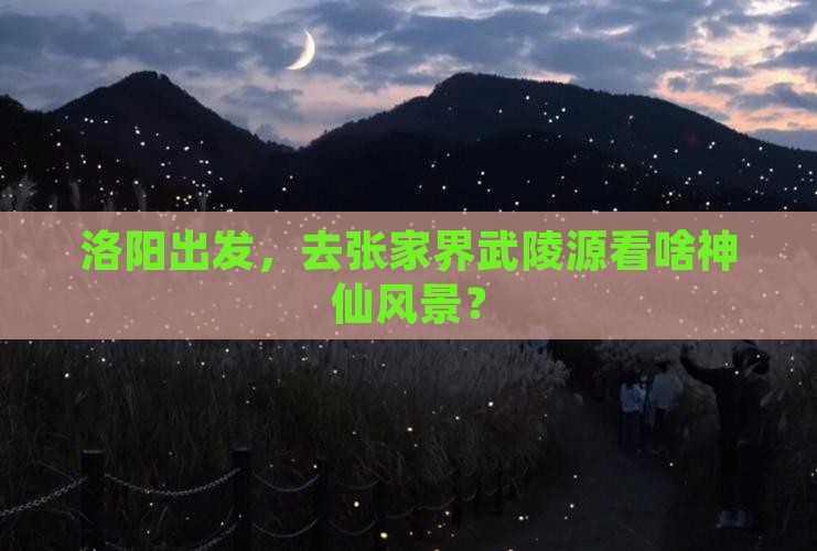 洛阳到张家界武陵源旅行社