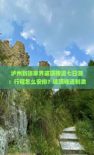 泸州到张家界玻璃栈道七日游