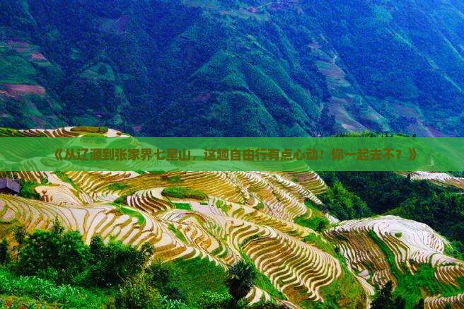 辽源去张家界七星山自由行