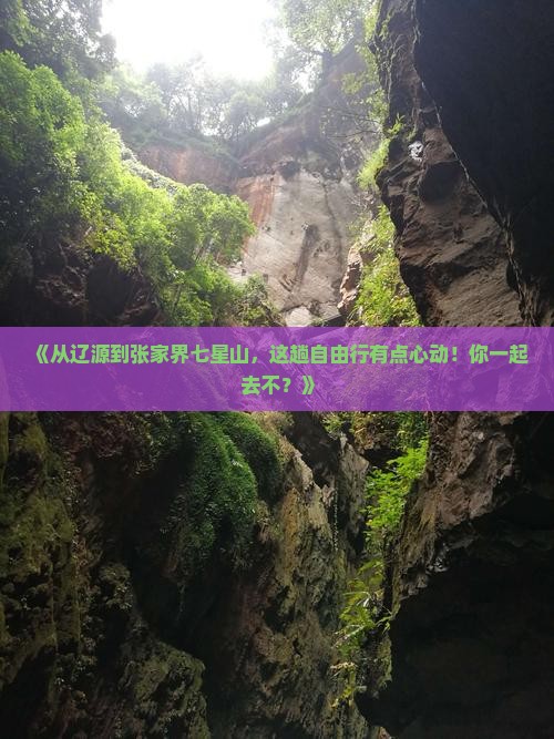 辽源去张家界七星山自由行
