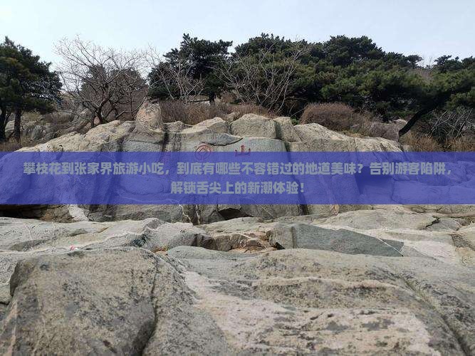 攀枝花到张家界旅游小吃
