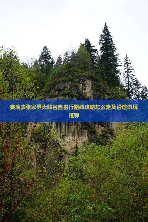 娄底去张家界大峡谷自由行