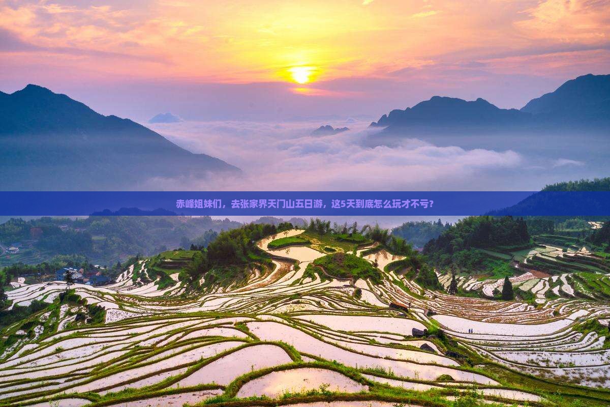 赤峰去张家界天门山五日游