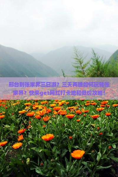 邢台到张家界三日游