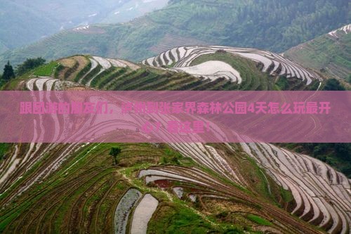 泸州到张家界森林公园团体旅游