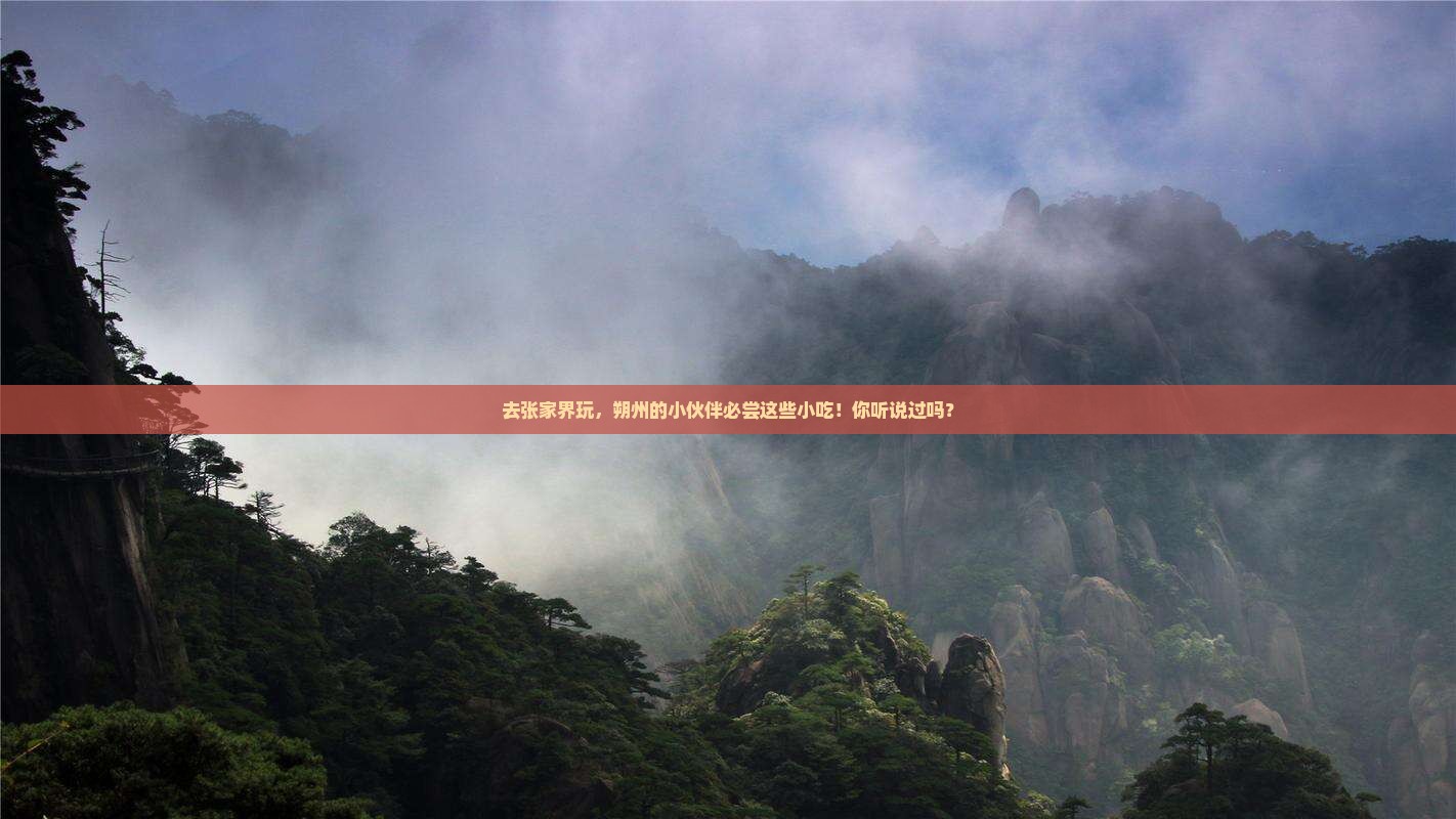 朔州去张家界旅游小吃