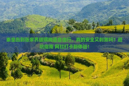 秦皇岛到张家界玻璃栈道自由行