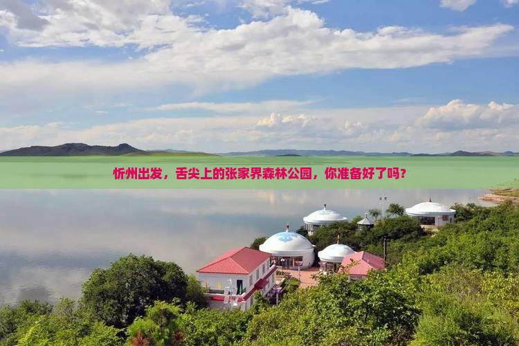 忻州到张家界森林公园旅游小吃