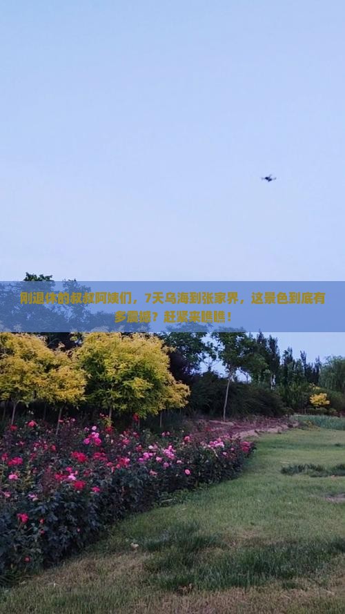 乌海到张家界森林公园七日游