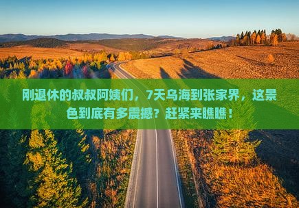 乌海到张家界森林公园七日游