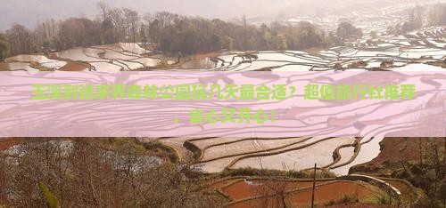 玉溪到张家界森林公园旅行社