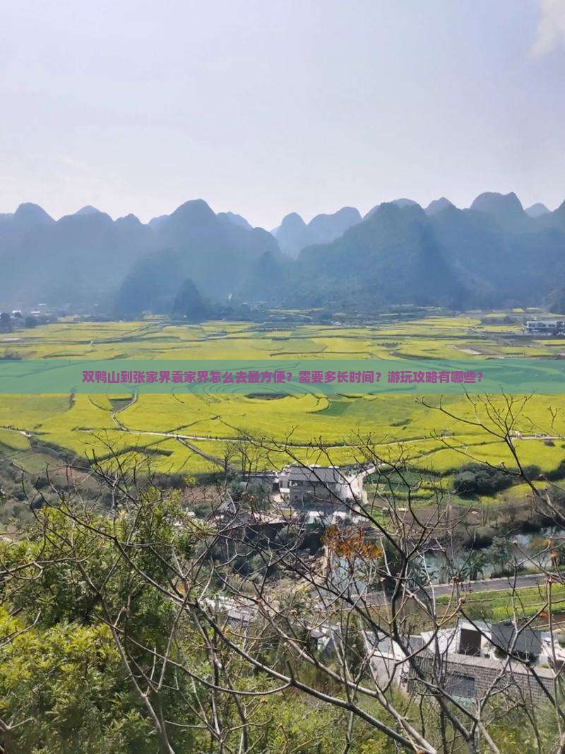 双鸭山去张家界袁家界攻略