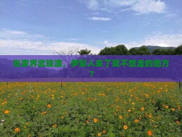 伊犁去张家界武陵源必去地
