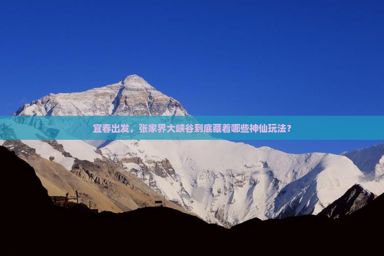 宜春去张家界大峡谷哪里玩