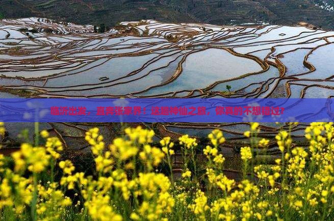 临沂去张家界哪里玩