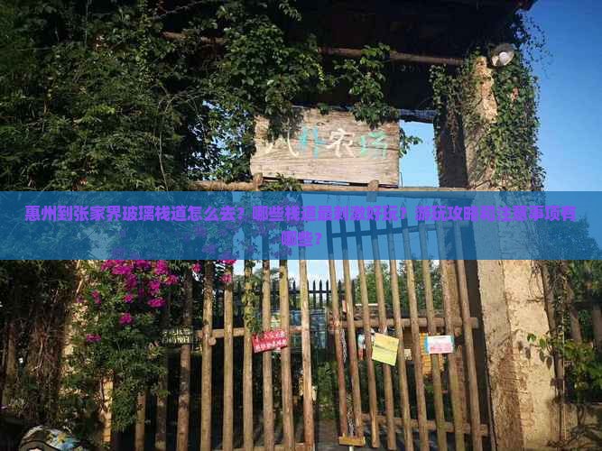 惠州到张家界玻璃栈道哪里玩