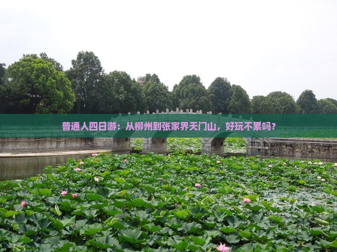 柳州去张家界天门山四日游