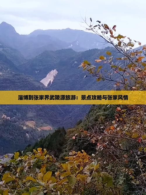 淄博到张家界武陵源旅游