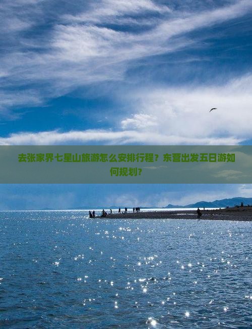 东营去张家界七星山五日游