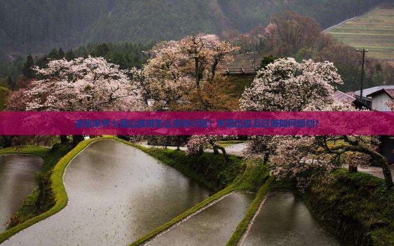 东营去张家界七星山五日游
