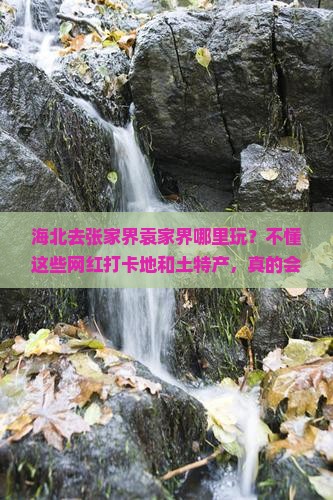 海北去张家界袁家界哪里玩