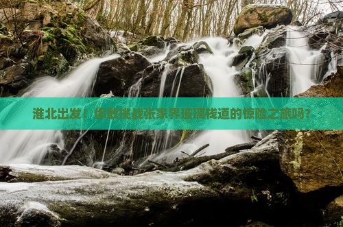 淮北到张家界玻璃栈道大型旅游团